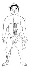 衝脉／和漢三才図会
