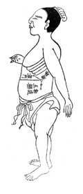 帯脉／和漢三才図会