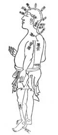 陽維脉／和漢三才図会