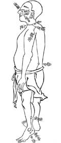 陽蹻脉／和漢三才図会