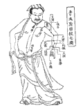 手太陰肺経の経絡図