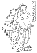 手陽明大腸経の経絡図