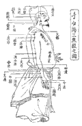 手少陽三焦経の経絡図