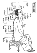 督脉