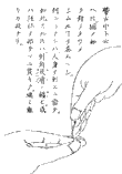 鍼術秘要図02