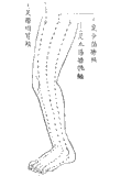 鍼術秘要図13