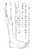 鍼術秘要図16