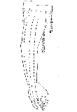 鍼術秘要図20