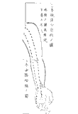 鍼術秘要図23