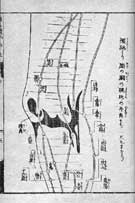 十四経発揮銅人形総図05