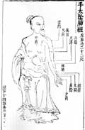 肺経／類経図翼