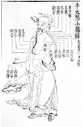 小腸経／類経図翼