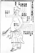 三焦経／類経図翼
