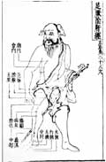 肝経／類経図翼