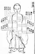 任脈／類経図翼
