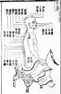 督脉／類経図翼