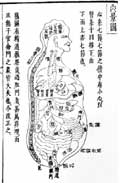 内景図／類経図翼