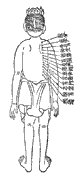鍼灸資生経図譜12