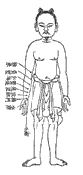 鍼灸資生経図譜26