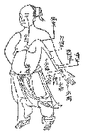 手少陰心経の経絡図