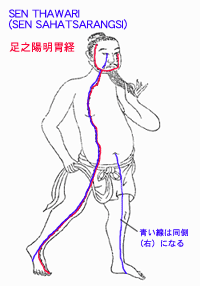SEN（SAHATSARANGSI）の流注