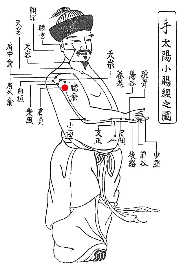 手太陽小腸経のイメージ