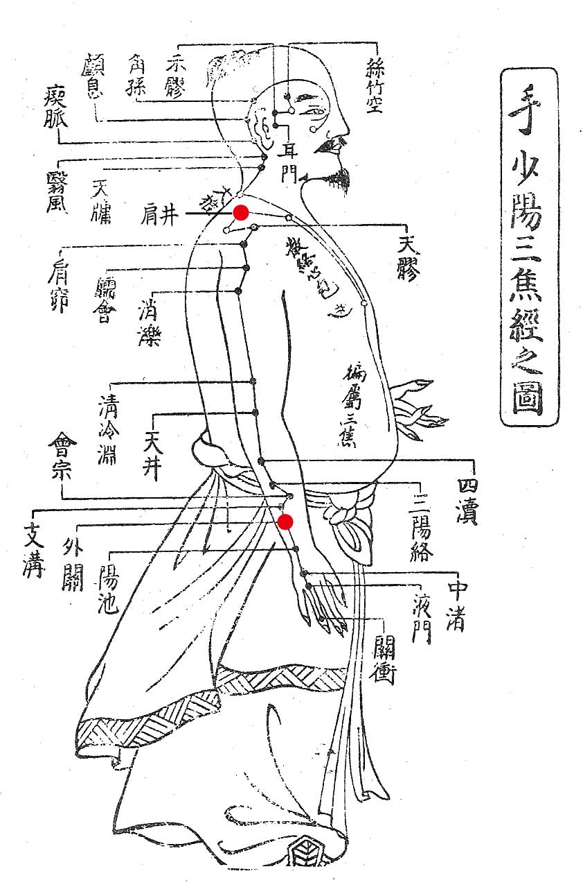 手少陽三焦経のイメージ