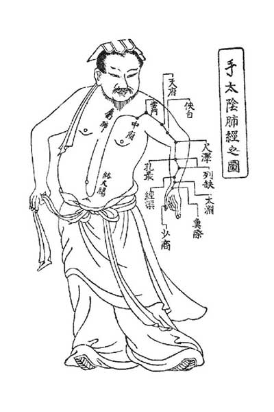 十四経発揮の経絡図