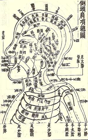 経絡の説明