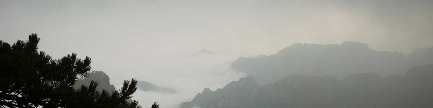 雲海の情景