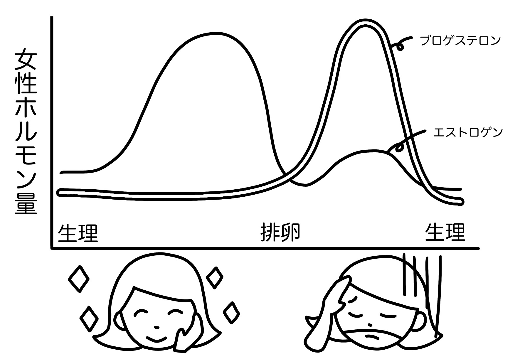 女性ホルモン