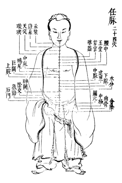 類経図翼の経絡図