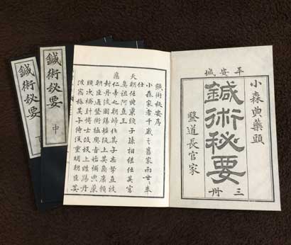 鍼術秘要のイメージ